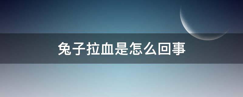 兔子拉血是怎么回事 兔子拉血是怎么回事但是还是和以前一样