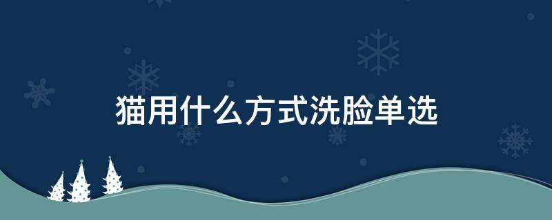 猫用什么方式洗脸单选 猫需要每天洗脸吗