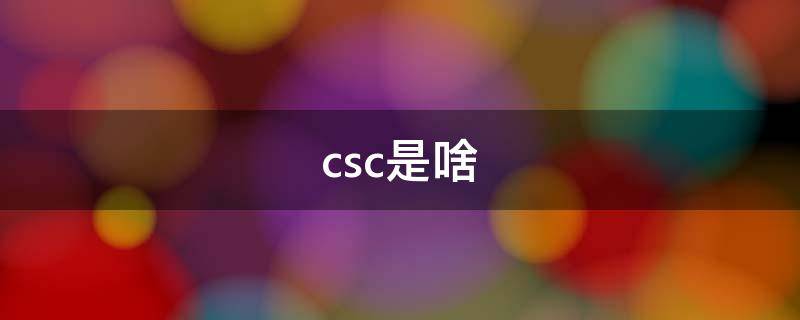 csc是啥（csc是啥信用卡）