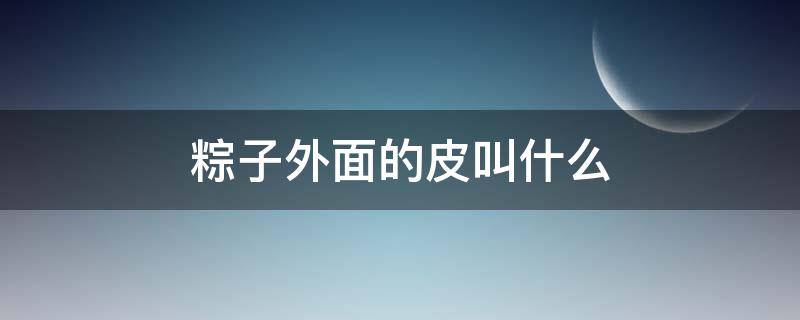 粽子外面的皮叫什么（包粽子外面的皮叫什么）