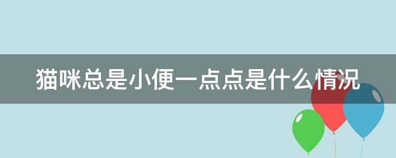 猫咪总是小便一点点是什么情况（猫咪总小便每次就尿一点点）