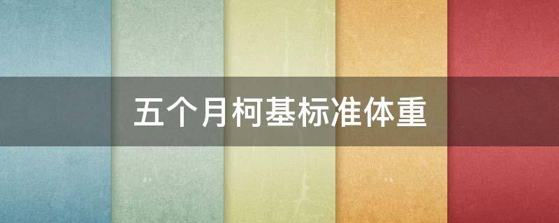 五个月柯基标准体重 5个半月柯基犬标准体重