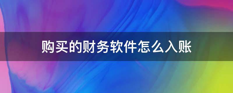 购买的财务软件怎么入账 购买财务软件怎么记账