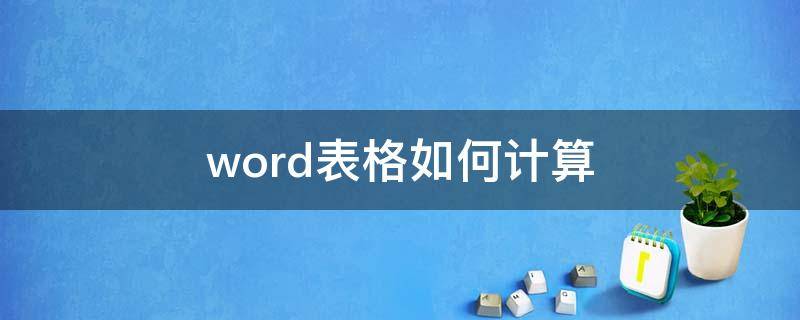 word表格如何计算（word表格如何计算合计值）