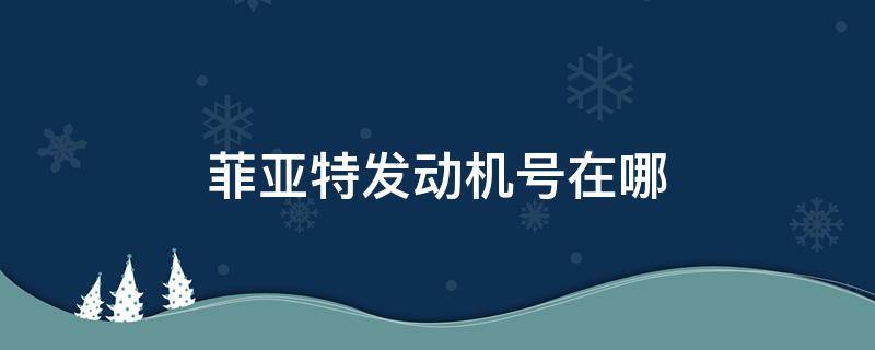 菲亚特发动机号在哪（2003年菲亚特发动机号在哪）