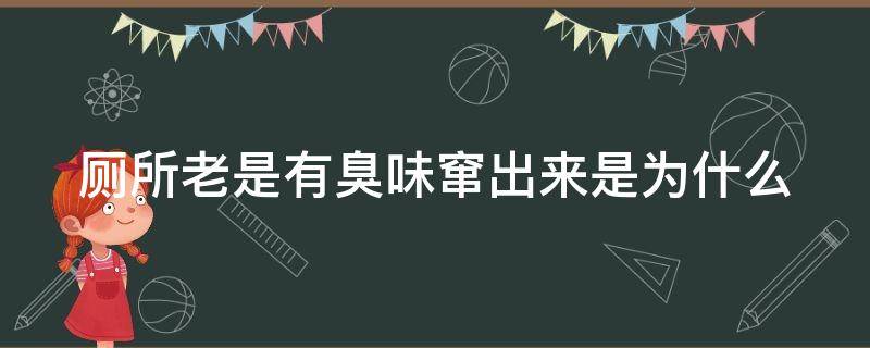 厕所老是有臭味窜出来是为什么