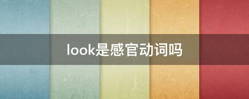 look是感官动词吗（感官动词look是什么意思）