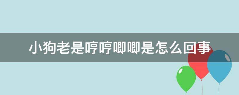 小狗老是哼哼唧唧是怎么回事（小狗总是哼唧唧）