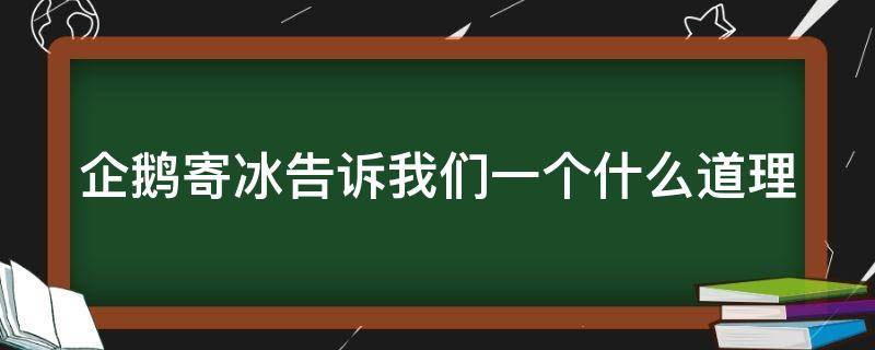 企鹅寄冰告诉我们一个什么道理（企鹅寄冰的故事,告诉我们什么科学常识）