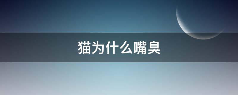 猫为什么嘴臭（猫嘴臭是为什么）