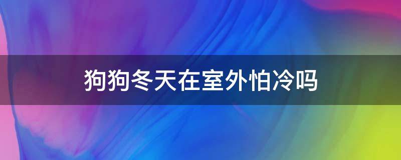 狗狗冬天在室外怕冷吗（狗狗冬天住在外面会怕冷吗）