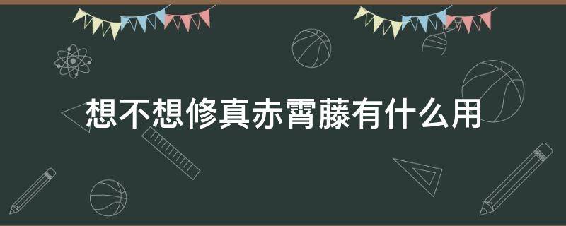 想不想修真赤霄藤有什么用 想不想修真赤霄藤