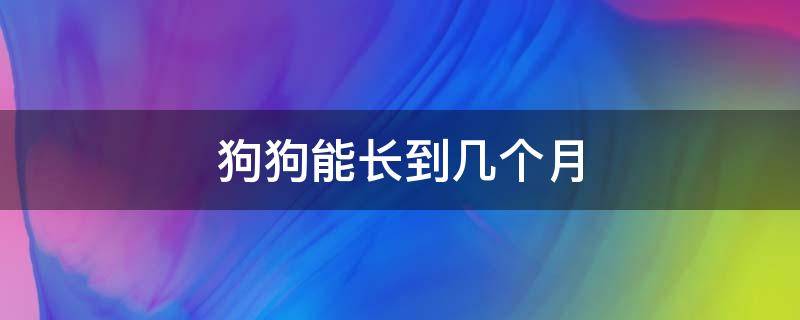 狗狗能长到几个月 狗狗一般能长到几个月