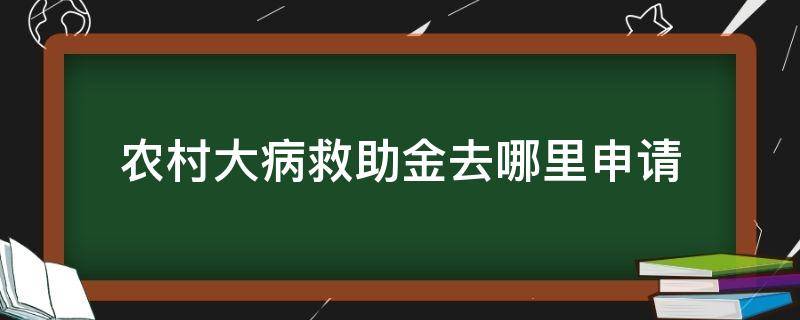 农村大病救助金去哪里申请（农村大病救助申请流程）