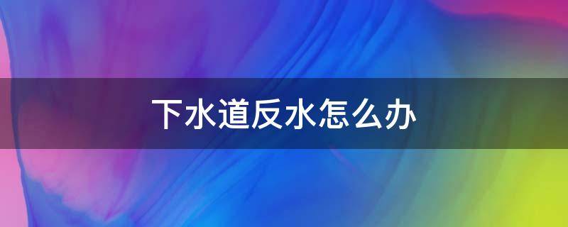 下水道反水怎么办 家里下水道反水怎么办