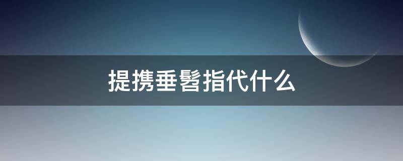 提携垂髫指代什么（垂髫借指什么）