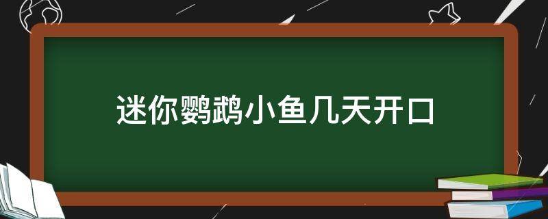 迷你鹦鹉小鱼几天开口 迷你鹦鹉鱼什么时候开口