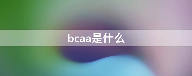 bcaa是什么（bcaa是什么氨基酸）