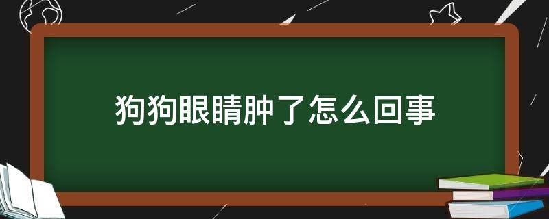 狗狗眼睛肿了怎么回事（狗狗眼睛肿了怎么回事拿什么药）