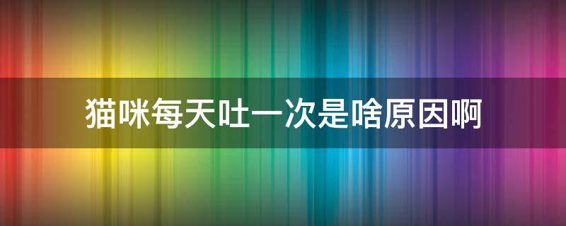 猫咪每天吐一次是啥原因啊 猫咪几天吐一次正常