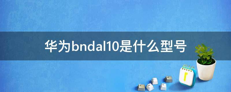 华为bndal10是什么型号 华为bndal10是什么型号手机