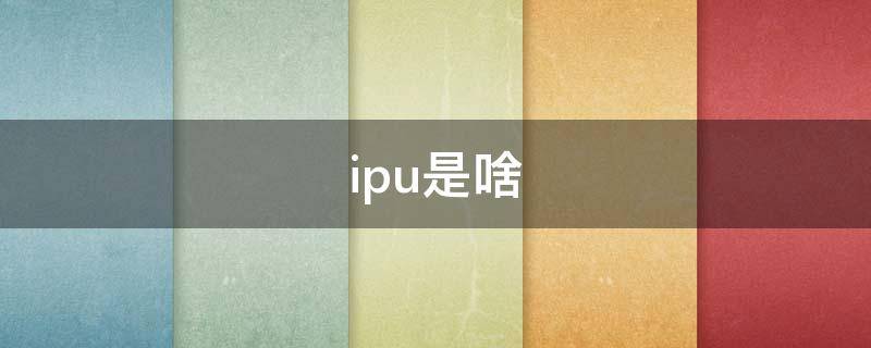 ipu是啥（ipu是啥病房）