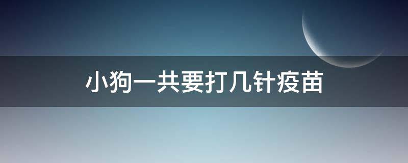 小狗一共要打几针疫苗（狗狗一共要打几针疫苗）