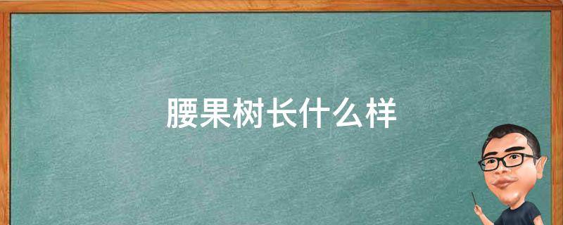 腰果树长什么样 腰果树长什么样视频