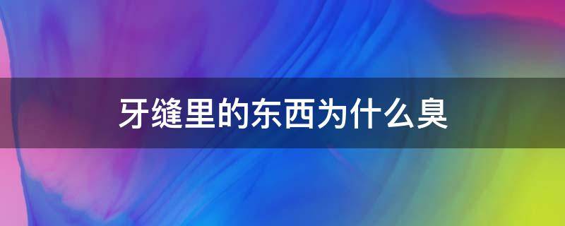 牙缝里的东西为什么臭（牙缝里的东西臭臭的）