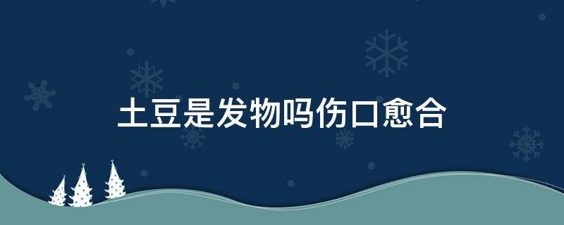 土豆是发物吗伤口愈合 土豆是发物吗?有伤口可以吃吗