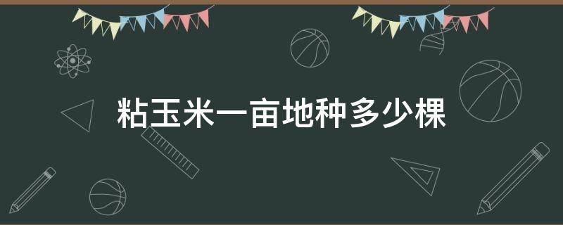 粘玉米一亩地种多少棵（粘玉米种子多少钱一斤）