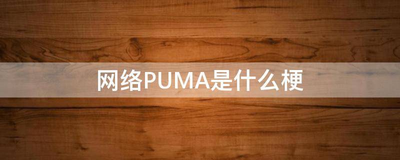 网络PUMA是什么梗（puma是怎么回事）