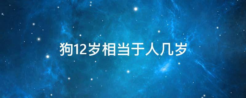 狗12岁相当于人几岁（人12岁相当于狗多少岁）