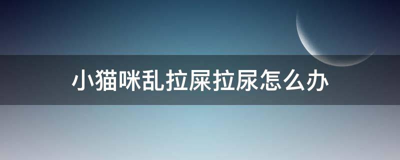 小猫咪乱拉屎拉尿怎么办（小猫乱拉尿怎么回事）