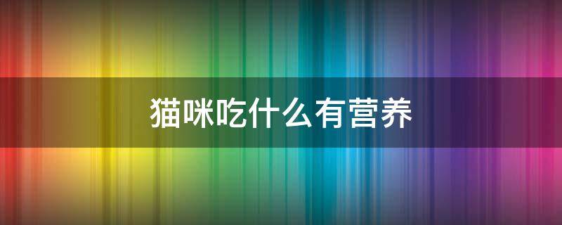 猫咪吃什么有营养 三个月猫咪吃什么有营养