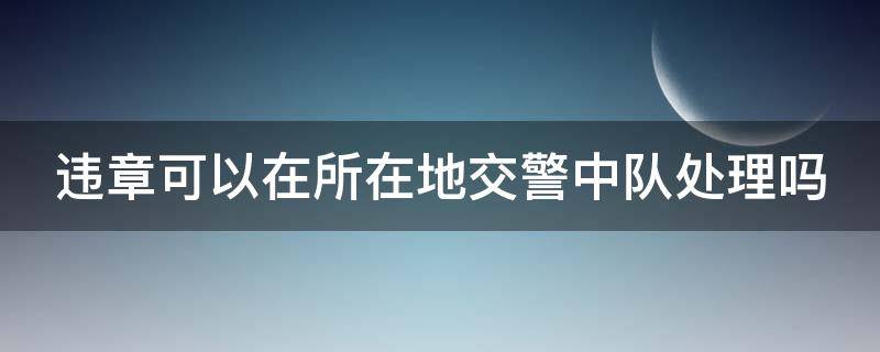 违章可以在所在地交警中队处理吗（处理违章在当地的任意交警队都可以处理吗）