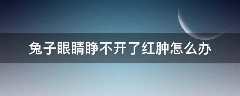 兔子眼睛睁不开了红肿怎么办 兔子眼睛发红睁不开