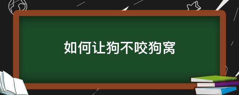 如何让狗不咬狗窝 怎么防止狗咬狗窝