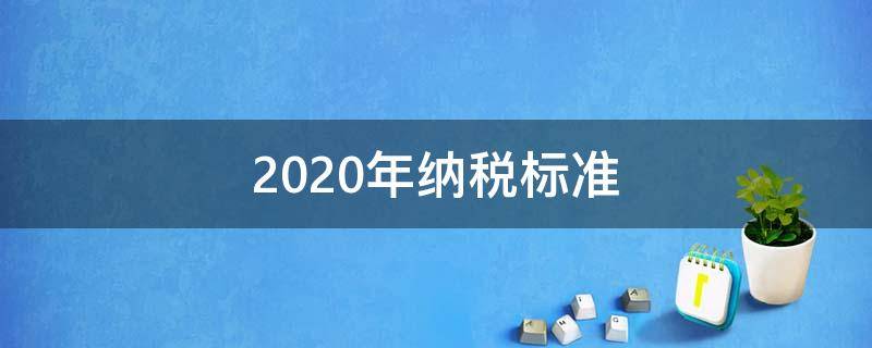 2020年纳税标准（2020年的纳税标准）