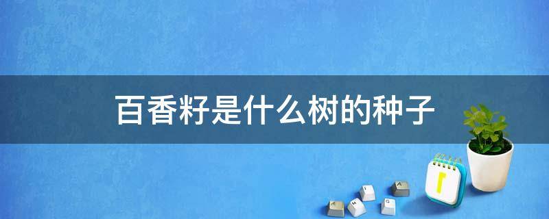 百香籽是什么树的种子 百香籽是什么树的种子y