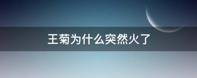 王菊为什么突然火了 王菊出道了吗