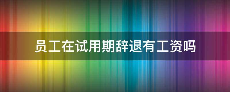 员工在试用期辞退有工资吗 员工在试用期被辞退有工资吗