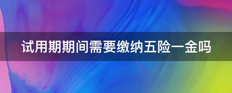 试用期期间需要缴纳五险一金吗 试用期期间需要缴纳五险一金吗知乎