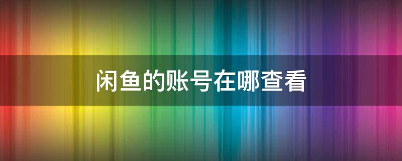 闲鱼的账号在哪查看（闲鱼账号在哪里查看）