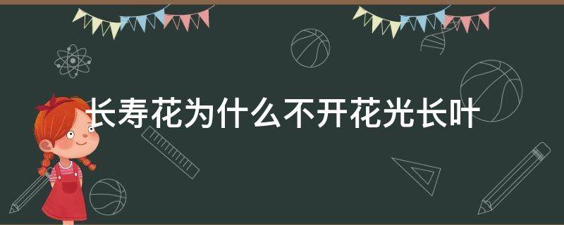 长寿花为什么不开花光长叶（长寿花光长叶子不开花）