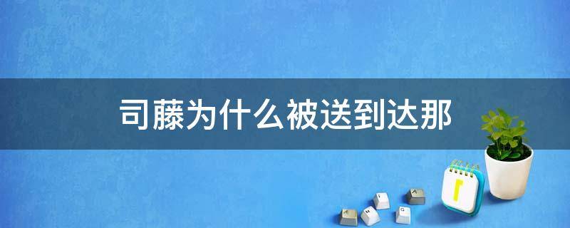 司藤为什么被送到达那（为什么将司藤送到达那）