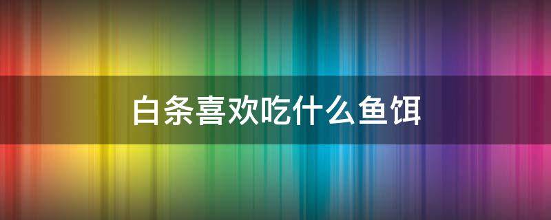 白条喜欢吃什么鱼饵 白条鱼不吃什么诱饵