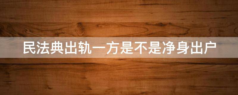 民法典出轨一方是不是净身出户（民法典婚姻法新规一方出轨可以净身出户吗）