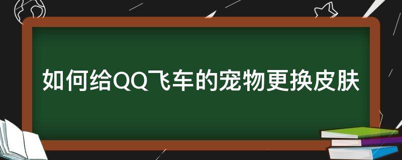 如何给QQ飞车的宠物更换皮肤（QQ飞车手游宠物怎么换）