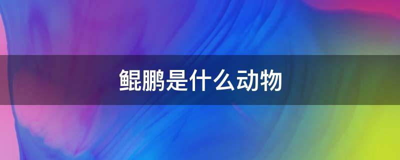 鲲鹏是什么动物 山海经鲲鹏是什么动物